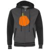 Heavyweight Varsity Full-Zip Hooded Sweatshirt Thumbnail