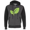 Heavyweight Varsity Full-Zip Hooded Sweatshirt Thumbnail