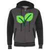 Heavyweight Varsity Full-Zip Hooded Sweatshirt Thumbnail