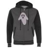 Heavyweight Varsity Full-Zip Hooded Sweatshirt Thumbnail