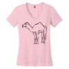 Women's Perfect Weight ® V Neck Tee Thumbnail