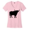 Women's Perfect Weight ® V Neck Tee Thumbnail